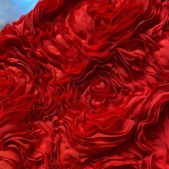 H&M NWT Red Rose minidress Sz 8 +6 - Picture 6 of 9